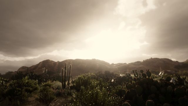 Red Dead Redemption 2_20200417181925