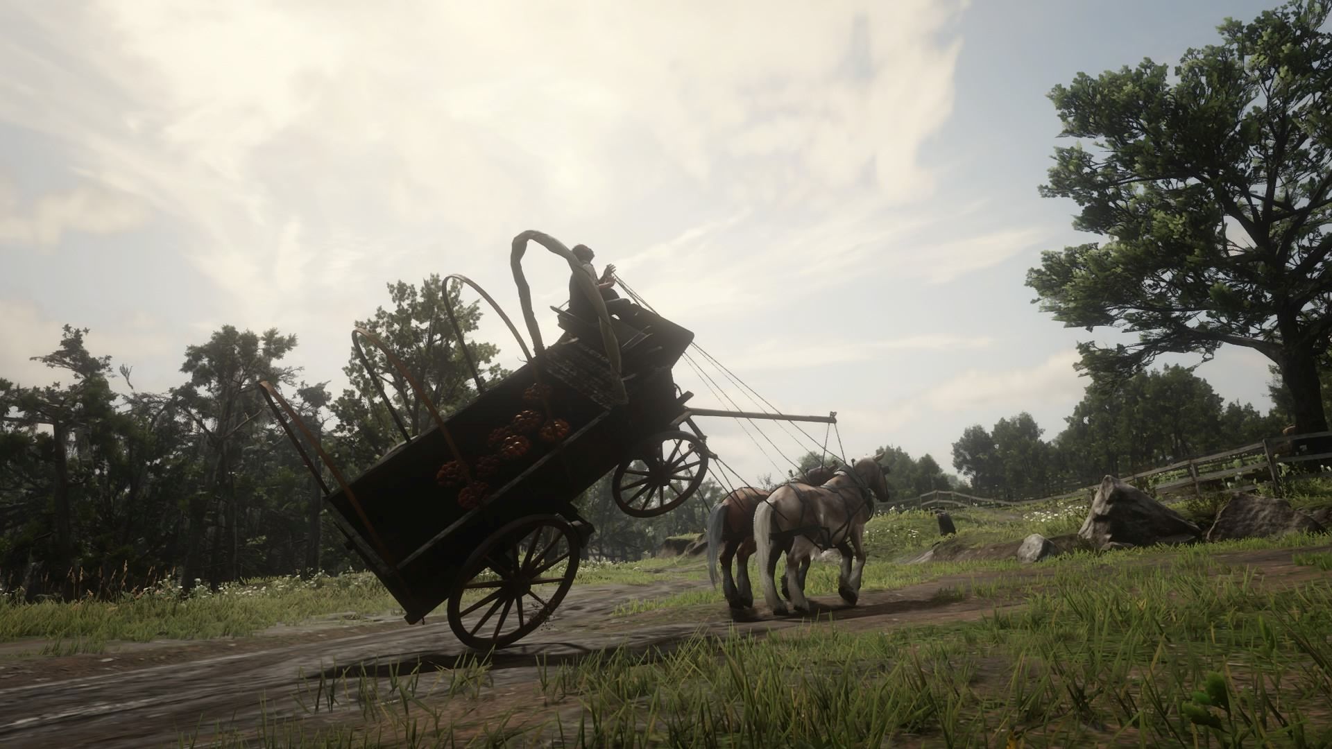 Red Dead Redemption 2_20200416200010