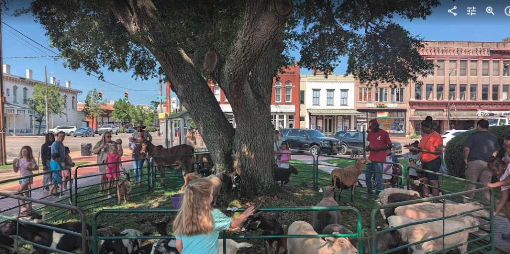 A photo of a large tree encircled by a fence, containing within a number of goats, sheep, and other small livestock. The fence is surrounded by children and adults for a 'petting zoo' a the library. 