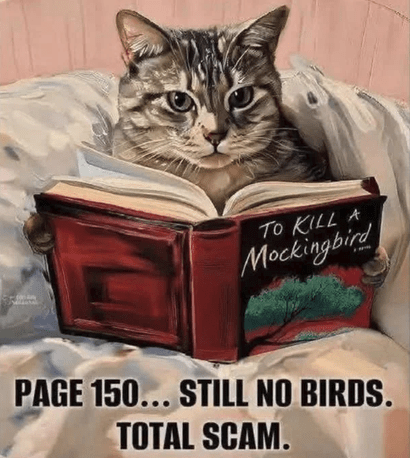 A disappointed cat reads To Kill a Mockingbird