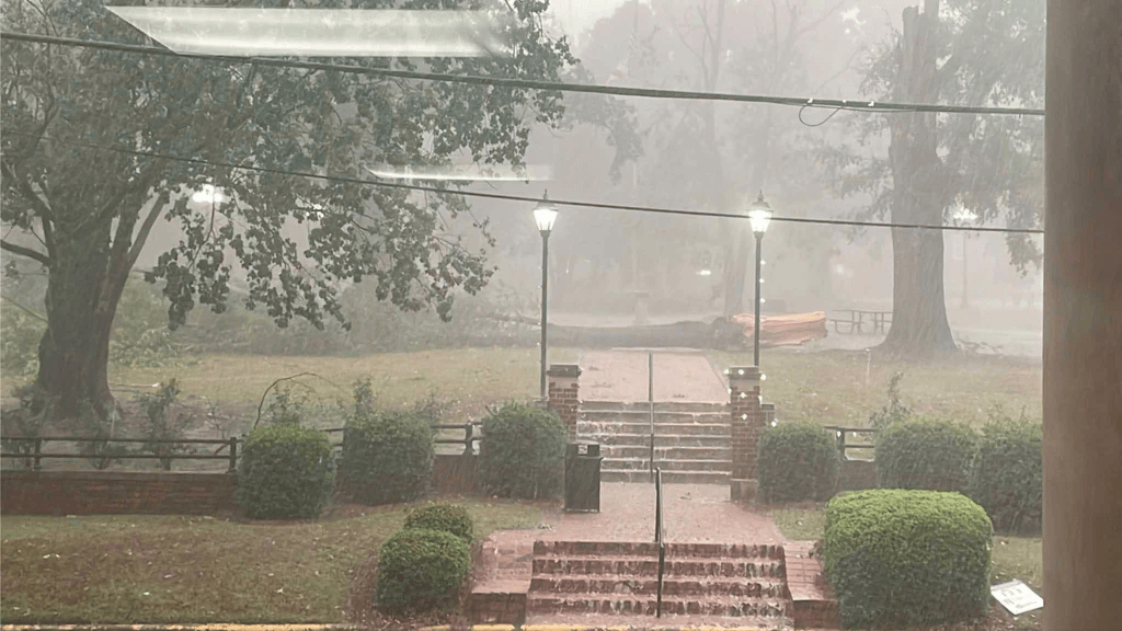 Heavy rain and wind demonstrated by fallen trees at University of Montevallo. Photo depicting stone steps leading to a college quad dominated by fallen trees