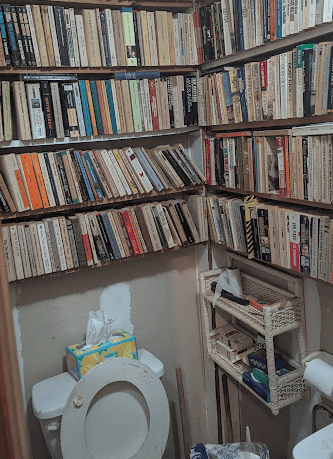 A bathroom filled with books