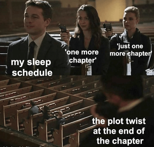 A meme in which plot twists and 'one more chapter' murder the memer's sleep